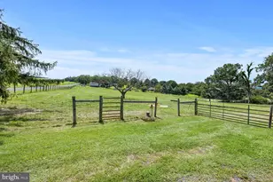 1275 Georgetown Rd, Mount Jackson, VA 22842 - Photo 15