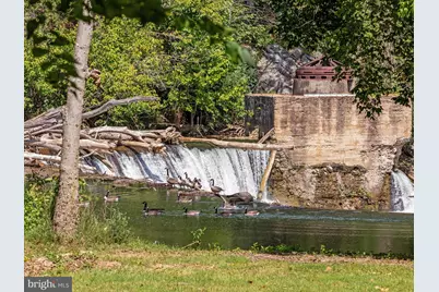 256 Cliffside Drive, Edinburg, VA 22824 - Photo 87