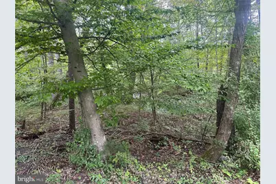 Tbd Van Buren Road, Maurertown, VA 22644 - Photo 1