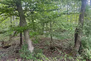 Tbd Van Buren Rd, Maurertown, VA 22644 - Photo 1