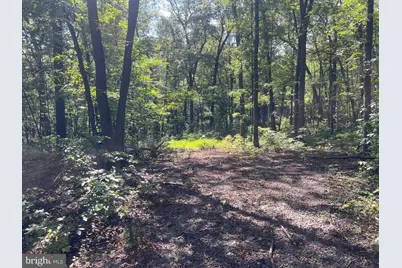 Lot 17 Lake Dr, New Market, VA 22844 - Photo 7