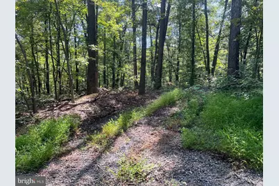 Lot 17 Lake Dr, New Market, VA 22844 - Photo 9