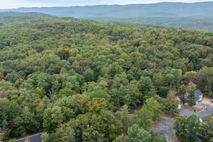 268 Dogwood Dr, Mount Jackson, VA 22842 - Photo 117