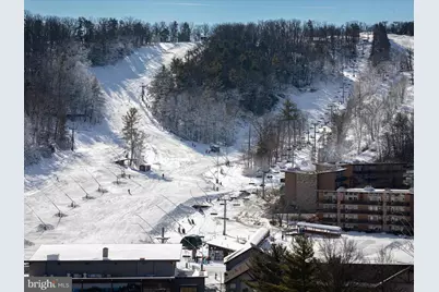 268 Dogwood Drive, Mount Jackson, VA 22842 - Photo 131