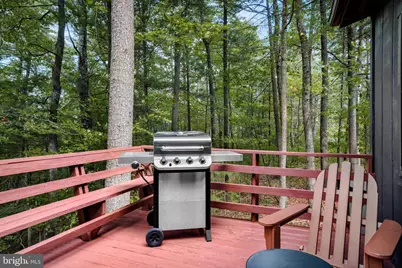 236 Judd Lane, Mount Jackson, VA 22842 - Photo 7