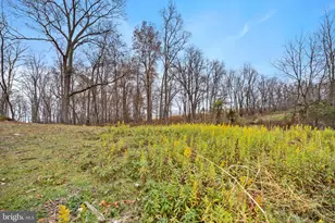 126 Chickadee Ct, Woodstock, VA 22664 - Photo 63