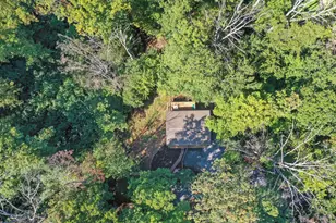 570 Cedar Rd, Strasburg, VA 22657 - Photo 39