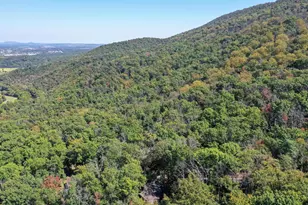 570 Cedar Rd, Strasburg, VA 22657 - Photo 37