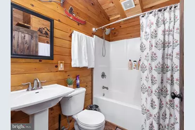 193 Ash Lane, Mount Jackson, VA 22842 - Photo 37