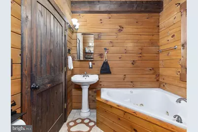 193 Ash Lane, Mount Jackson, VA 22842 - Photo 29