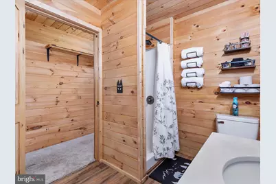 193 Ash Lane, Mount Jackson, VA 22842 - Photo 25