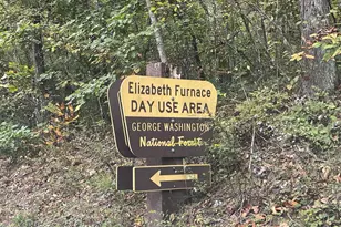 100 Wolfs Ln, Fort Valley, VA 22652 - Photo 27