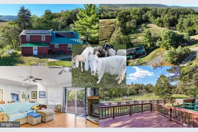 100 Wolfs Lane, Fort Valley, VA 22652 - Photo 1