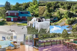 100 Wolfs Ln, Fort Valley, VA 22652 - Photo 1