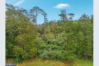 0 Dellinger Gap Rd, Edinburg, VA 22824 - Photo 9