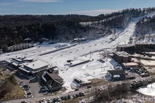 452 Spitz, Basye, VA 22810 - Photo 45