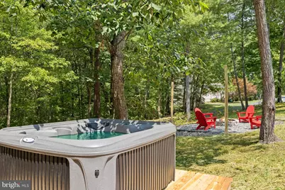 203 Beech Road, Mount Jackson, VA 22842 - Photo 3