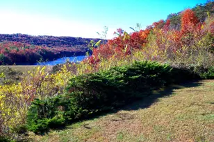 426 The Hill Rd Rd, Basye, VA 22810 - Photo 7