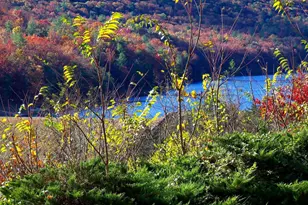 426 The Hill Rd Rd, Basye, VA 22810 - Photo 3