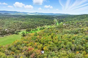 16 Spruce Hollow Rd, Basye, VA 22810 - Photo 43