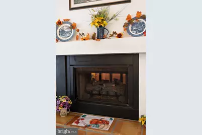 16 Spruce Hollow Road, Basye, VA 22810 - Photo 19