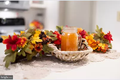 16 Spruce Hollow Road, Basye, VA 22810 - Photo 25