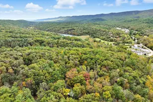 16 Spruce Hollow Rd, Basye, VA 22810 - Photo 41