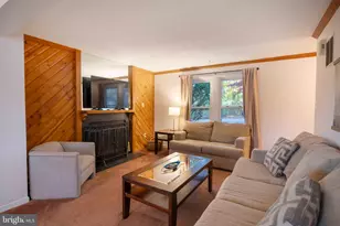 547 King St, Basye, VA 22810 - Photo 9