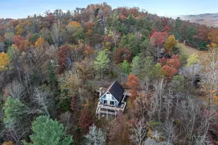 459 N Aspen Way, Basye, VA 22810 - Photo 51