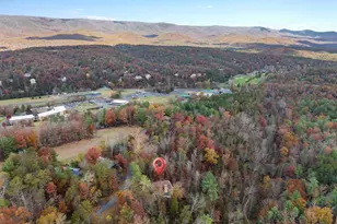 459 N Aspen Way, Basye, VA 22810 - Photo 55