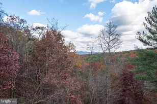 459 N Aspen Way, Basye, VA 22810 - Photo 11