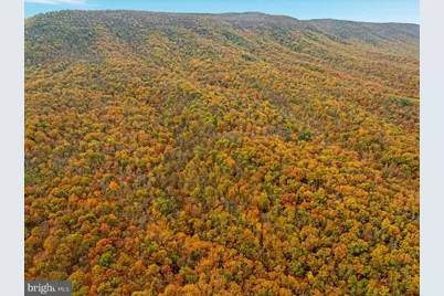 875 Hunter Lane, Edinburg, VA 22824 - Photo 57