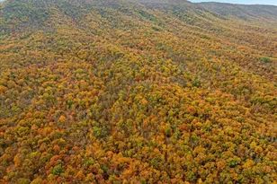 875 Hunter Ln, Edinburg, VA 22824 - Photo 57