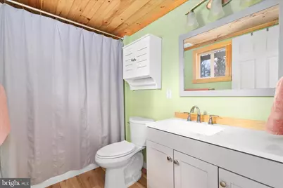 875 Hunter Lane, Edinburg, VA 22824 - Photo 13