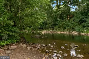 875 Hunter Ln, Edinburg, VA 22824 - Photo 75