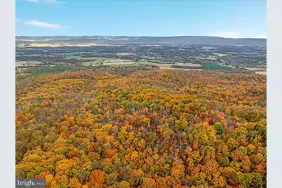 875 Hunter Lane, Edinburg, VA 22824 - Photo 53