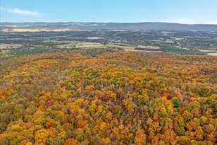 875 Hunter Ln, Edinburg, VA 22824 - Photo 53