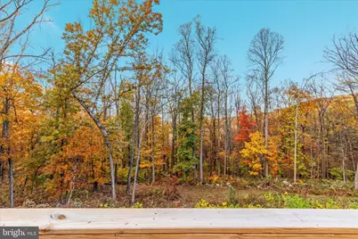 875 Hunter Lane, Edinburg, VA 22824 - Photo 3