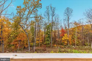 875 Hunter Ln, Edinburg, VA 22824 - Photo 3