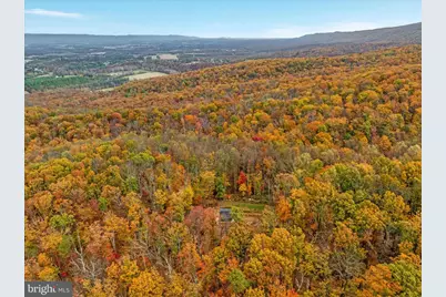 875 Hunter Lane, Edinburg, VA 22824 - Photo 55