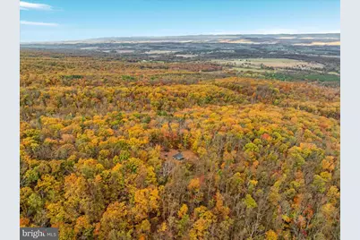 875 Hunter Lane, Edinburg, VA 22824 - Photo 51