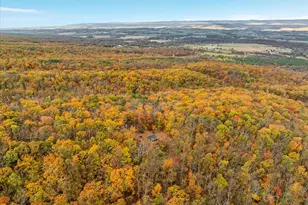 875 Hunter Ln, Edinburg, VA 22824 - Photo 51