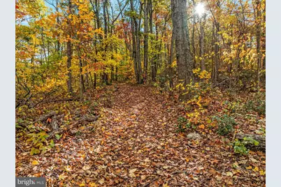 875 Hunter Lane, Edinburg, VA 22824 - Photo 59