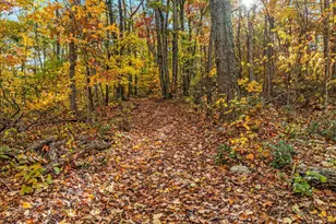 875 Hunter Ln, Edinburg, VA 22824 - Photo 59