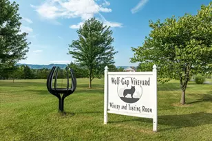 875 Hunter Ln, Edinburg, VA 22824 - Photo 71