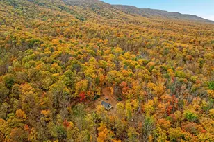 875 Hunter Ln, Edinburg, VA 22824 - Photo 49