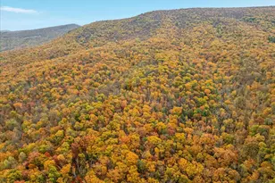 875 Hunter Ln, Edinburg, VA 22824 - Photo 47