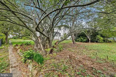 208 Piccadilly Street, Edinburg, VA 22824 - Photo 121