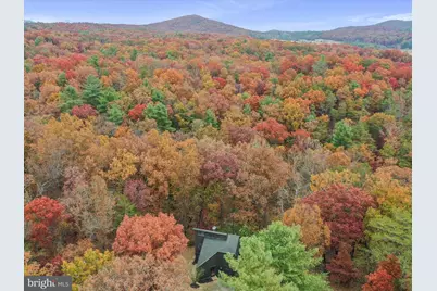 290 Hickory Lane, Mount Jackson, VA 22842 - Photo 39