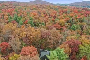 290 Hickory Ln, Mount Jackson, VA 22842 - Photo 39